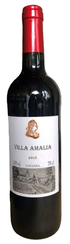 Villa Amalia Navarra 2018
