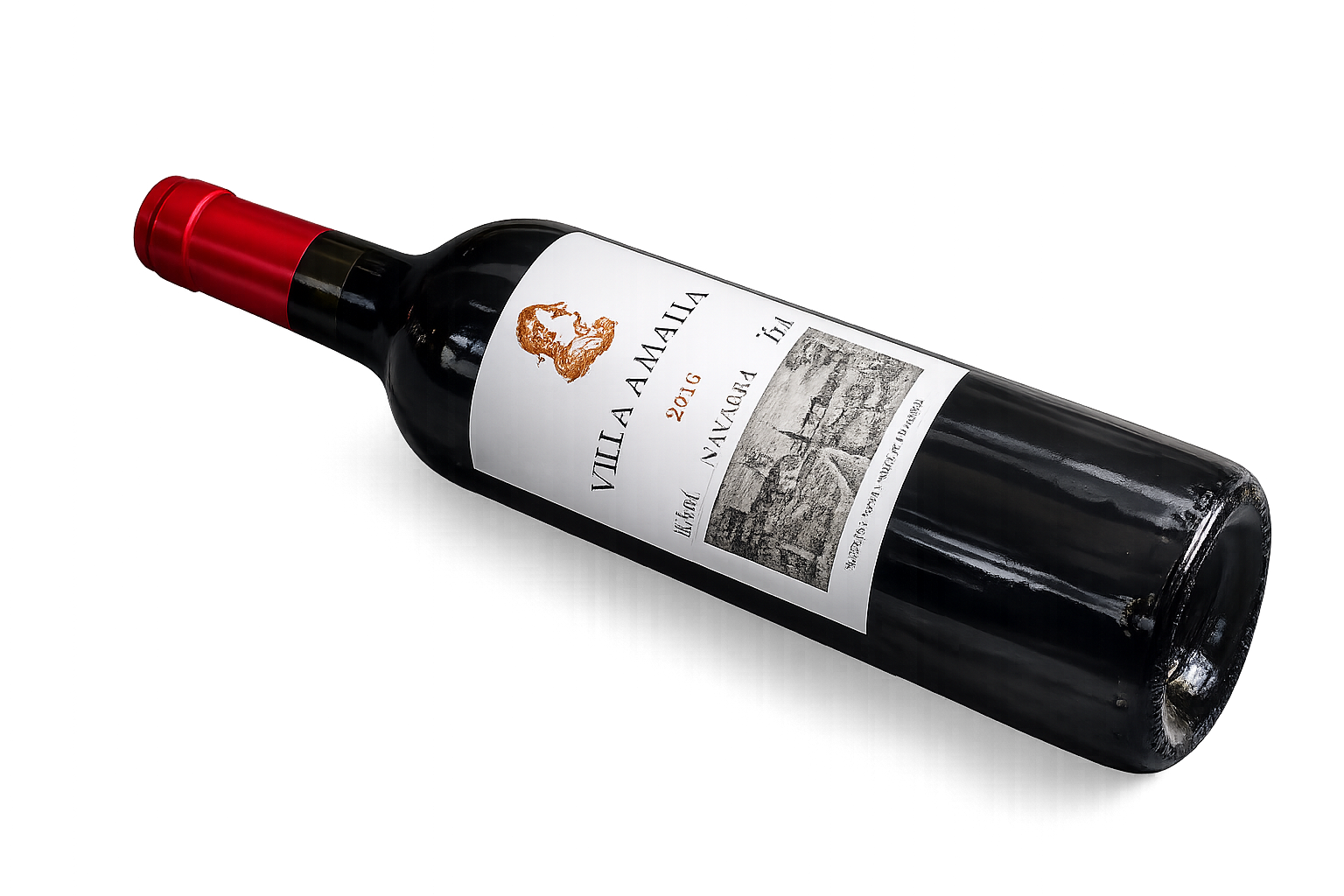 Villa Amalia Navarra 2018