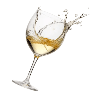 Blanc Élégance